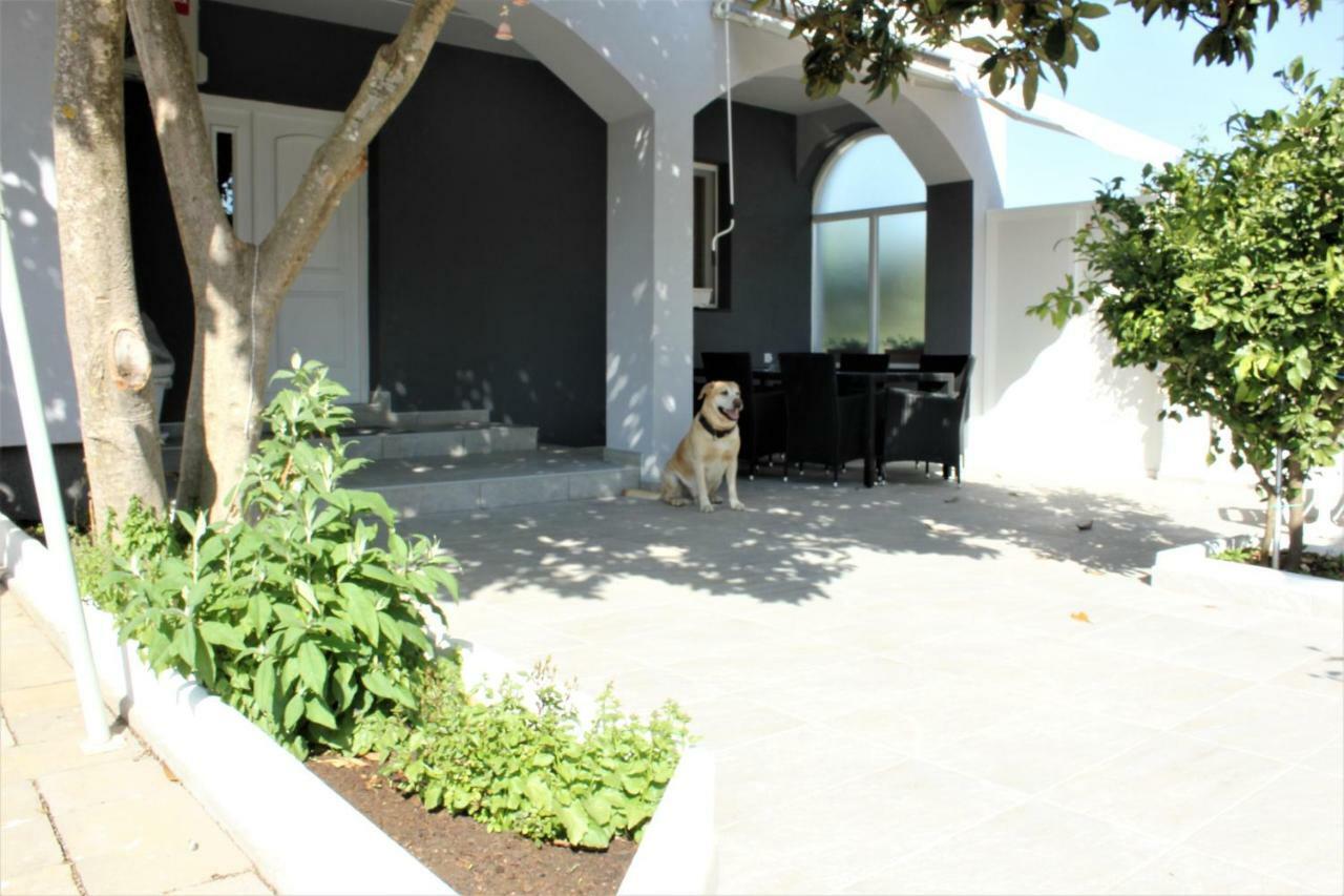Holiday House Zaton Нин Экстерьер фото
